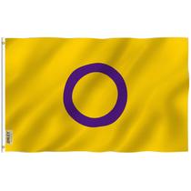 Bandeira Anley Fly Breeze Intersex Pride 90x150cm com ilhós