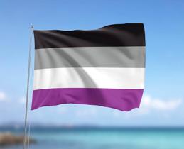 Bandeira Assexual LGBTQIA+ 80cmx140cm Tecido Oxford 100% Poliéster Bandeira Assexual LGBTQIA+ 80cmx140cm Tecido Oxford 100% Poliéster