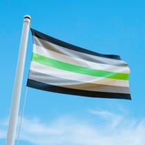 Bandeira Avulsa Orgulho LGBT Cores em Cetim Brilhante - Tamanho Pequeno 55cm x 35cm - DOURADOS ENXOVAIS