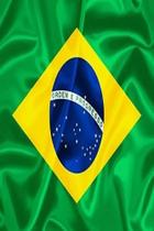 Bandeira brasil tecido 150x225cm cp415 nyr