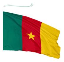 Bandeira Camarões Copa Do Mundo Oficial 1,50mx0,90mt - WCAN