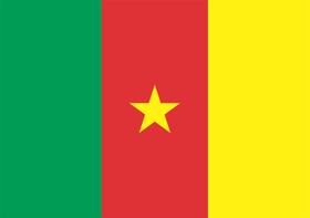 Bandeira Camarões Estampada uma face - 0,70X1,00m