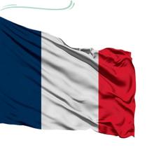 Bandeira da França 1,50x0,90mt Luxo