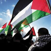 Bandeira Da Palestina Oficial Grande 1,5m X 0,90 Hoje