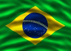 Bandeira do Brasil 60x90 cor super forte - MORGADO