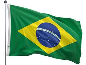 Bandeira do Brasil oficial dupla face globo estampado