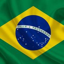 Bandeira Do Brasil Oficial Seleção 1,40 X 0,90 Copa 2022 - Comercial Luvi