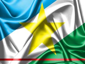 Bandeira do Estado de Roraima 80cmx140cm Tecido Oxford 100% Poliéster