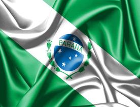 Bandeira do Estado do Paraná 80cmx140cm Tecido Oxford 100% Poliéster - PRESENTE-BRINDE