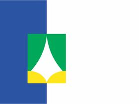 Bandeira do município Brasília Estampada uma face - 0,70X1,00m