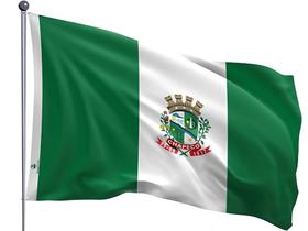 Bandeira do Município de Chapecó Uma Face Estampada Tamanho 70x100cm - Qualidade e Entrega Rápida