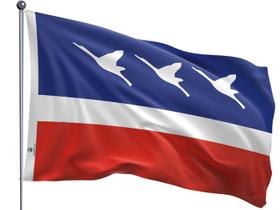 Bandeira do Município de Estância Turística de Guaratinguetá Dupla Face Estampada Tamanho 90x128cm Bandeira do Município de Estância Turística de Guaratinguetá Dupla Face Estampada Tamanho 90x128cm