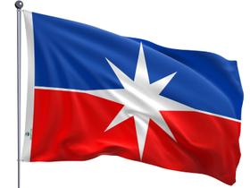 Bandeira do Município de Luís Eduardo Magalhães Uma Face Estampada Tamanho 90x128cm