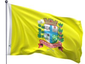 Bandeira do Município de Paranavaí Uma Face Estampada Tamanho 70x100cm Bandeira do Município de Paranavaí Uma Face Estampada Tamanho 70x100cm