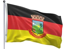 Bandeira do Município de Teófilo Otoni Uma Face Estampada 90x128cm - Qualidade e Entrega Rápida