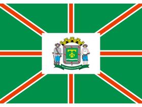 Bandeira do município Goiânia Estampada uma face - 0,70X1,00m
