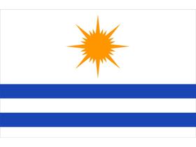 Bandeira do município Palmas Estampada uma face - 0,70X1,00m