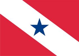 Bandeira do Pará Estampada Uma face 90x128cm - Pátria Bordados