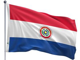 Bandeira do Paraguai Uma Face Estampada Tamanho 90x128cm