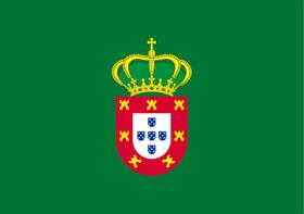 Bandeira Dom Pedro II Estampada Uma face - 0,70 X 1,00m