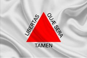 Bandeira Estado Minas Gerais MG 1,50x0,90mt