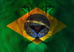 Bandeira Evangélica Leão De Judá Brasil Estampada Dupla face 70x100cm - Cod. 650868 - Pátria Bordados