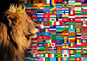Bandeira Evangélica Nações Leão de Judá estampada 01 Uma face 0,70x1,00m