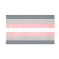 Bandeira FLAGLINK Demigirl Pride 90x150cm LGBTQIA Demi Women