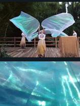 Bandeira flexível para dança e eventos em geral Bandeira flexível para dança e eventos em geral