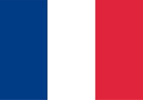 Bandeira França estampada dupla face - 0,90x1,28m