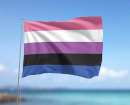 Bandeira Gênero Fluido LGBTQIA+ 80cmx140cm Tecido Oxford 100% Poliéster