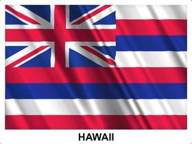 Bandeira Hawaii 1,50x0,90mt Havaí Envio Imediato