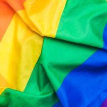 Bandeira Lgbt Orgulho Gay 1,50x0,90mt - Envio já - WCAN