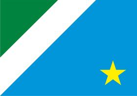 Bandeira Mato Grosso do Sul Estampada uma face - 0,70X1,00m