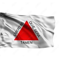 Bandeira Minas Gerais Oficial Grande 150 x 90 Cm 2024