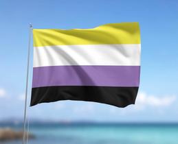 Bandeira Não-Binário LGBTQIA+ 80cmx140cm Tecido Oxford 100% Poliéster