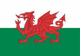 Bandeira País de Gales estampada dupla face - 0,70x1,00m