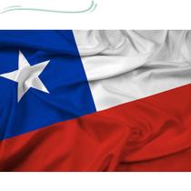 Bandeira Países País Diversos 1,50x0,90mt - Envio Imediato! - Chile