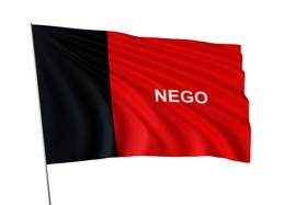 Bandeira Paraíba Dupla Face P/ Hasteamento 1,45mx1 M