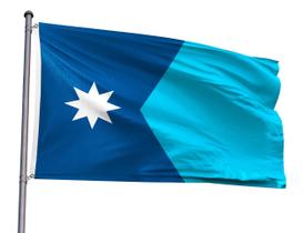 Bandeira PLAIEI New Minnesota State 90x150cm, poliéster, 3 camadas