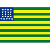 Bandeira Provisória da República Estampada - Bandeira histórica do Brasil 0,90 X 1,28m