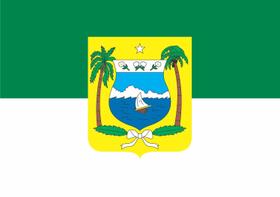 Bandeira Rio Grande do Norte Estampada uma face - 0,70X1,00m