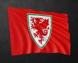 Bandeira Seleção País de Gales Copa do mundo 80cmx140cm Tecido Oxford 100% Poliéster
