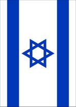 Bandeira Toland Home Garden Bandeira de Israel 71x102cm Poliéster