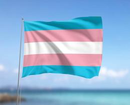 Bandeira Transexual LGBTQIA+ 80cmx140cm Tecido Oxford 100% Poliéster