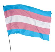 Bandeira Transgenero Orgulho Lgbtqia+ 1,50M X 1,0M Em Tecido