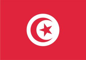 Bandeira Tunísia Estampada uma face - 0,70X1,00m