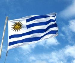 Bandeira Uruguai Dupla Face 1,50x0,90mt