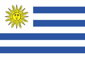 Bandeira Uruguai Estampada uma face - 0,70X1,00m