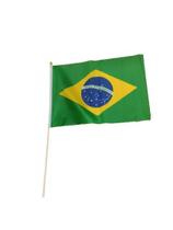 Bandeirinha Brasil com haste